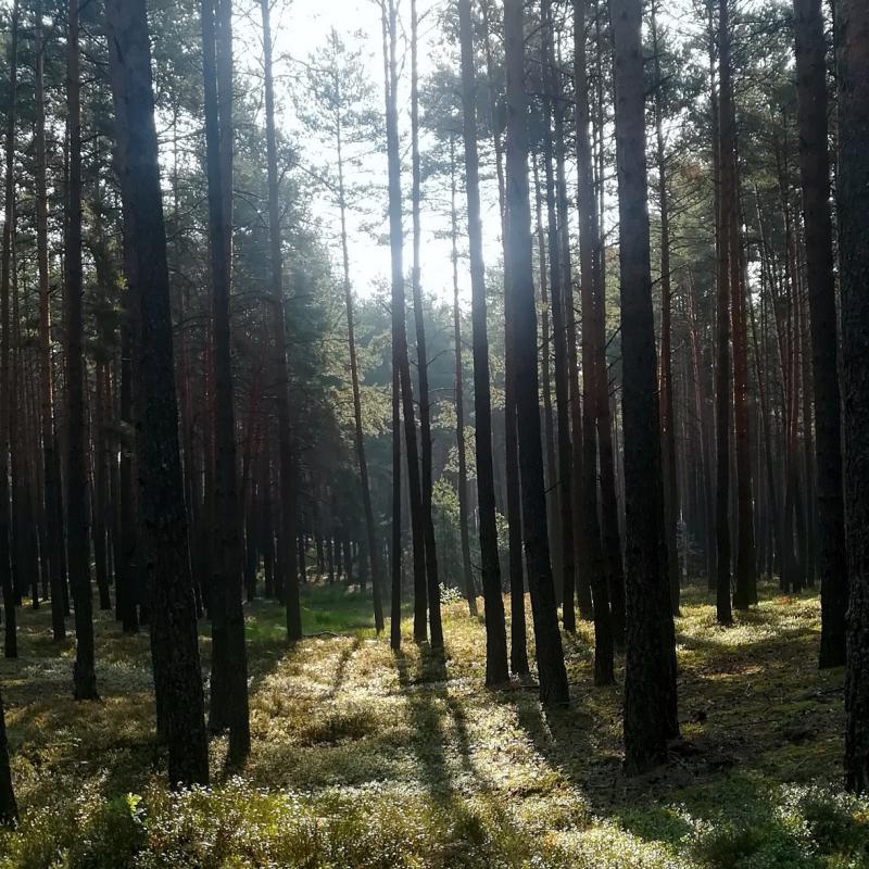 Sielpiasowka.pl - Ośrodek Wypoczynkowy