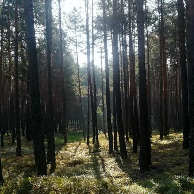 Sielpiasowka.pl - Ośrodek Wypoczynkowy